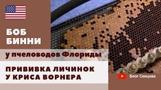 144 семьи-воспитательницы и прививка личинок в хозяйстве Криса Ворнера. Пчеловоды Флориды (часть 3)