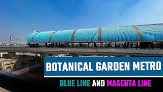 Botanical Garden Metro Station || BLUE LINE AND MANGENTA LINE METRO