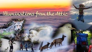 Illuminations from the Attic Channel Trailer