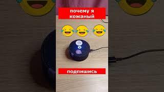 Алиса обясняет почему я кожаный