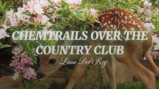 Lana Del Rey - Chemtrails Over The Country Club (dreamy version + lyrics)