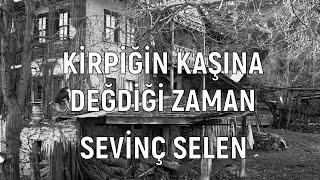 Kirpiğin Kaşına Değidiği Zaman - Sevinç Selen | Davut Sulari (Türkü Gibi Hayat)