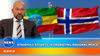 ETHIOPIA’S EFFORTS IN PROMOTING REGIONAL PEACE