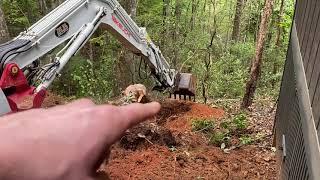 Takeuchi TB290 moving a big stump