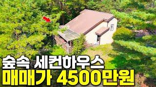 4500만원짜리 강원도의 숲속 세컨하우스~ 이따금 와서 쉬고가기 좋아요