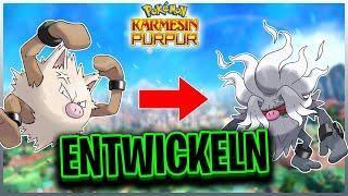 So entwickelt ihr RASAFF zu EPITAFF! | Pokemon Karmesin & Purpur