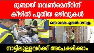 New dubai government jobs 2025/ Dubai jobs today| urgent jobs \ Dubai job vacancy Malayalam/