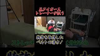 【特許取得！】元タイガーストレーナーが扱うストラクションベルトの凄さとは！#ジョウジョウチャンネル #北條史也 #tigris
