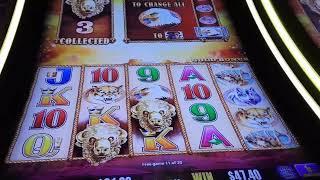 GREAT SESSION WIN With A Lots Of Free Games On BUFFALO GOLD Slot Machine - SunFlower Slots