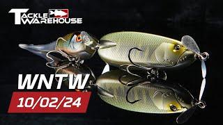 BRAND NEW TW Exclusive Daiwa Rods!! Baits From Berkley, Nories, Pro Point and MORE!!