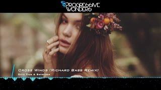 Gate Faze & Skyknock - Cross Winds (Richard Bass Remix) [Music Video] [Elliptical Sun Melodies]