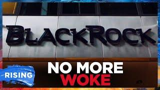 Blackrock ENDING 'Woke' Initiatives, BUYS Panama Canal Ports