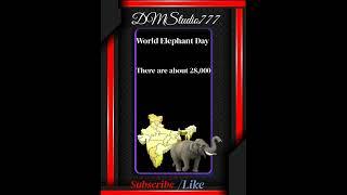 #world elephant day#Save the Elephants#dmstudio
