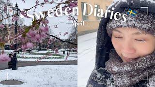 Sweden Diaries 北歐日記EP_6｜櫻花雪月｜April 2024｜Vlog｜Eng Sub