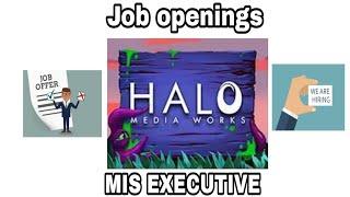 MIS Executive opening|Halo Media|Job Opportunity|Good Salary