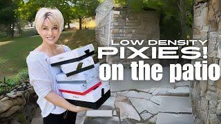 PIXIES ON THE PATIO! / 5 LOW DENSITY PIXIE WIGS! / No TALK/just WIGS!