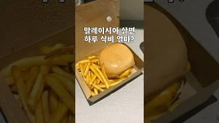 말레이시아 살면 하루 식비 얼마?