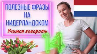 Учимся говорить на нидерландском языке. Поход за покупками. Урок 14