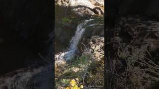 Hiking in search of waterfalls in New Mexico!