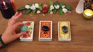WHAT DOES HE/SHE THINK AND FEEL ABOUT ME RIGHT NOW?| Pick A Card | Love Tarot Reading (Timeless)