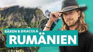 Romania - Bears, Dracula and Bucharest with Sarazar | WDR Reisen