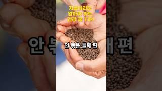 안 볶은 들깨의 놀라운 효능들!! #건강꿀팁 #건강정보 #건강관리 #건강비결