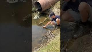 Country boys doing a little hand fishing on a summer day!