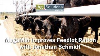 MegaMin Improves Feedlot Ration - Jonathan Schmidt