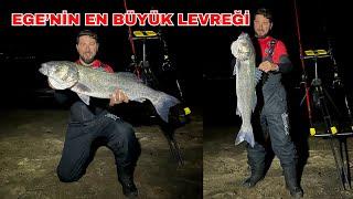 KIYIDAN DEV LEVREK VURUŞ ANI !!! | EGE'NİN EN BÜYÜK LEVREĞİ | ALTINOVA'DA KAMP ve BALIK AVI#fishing