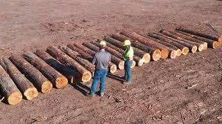 A Johnson Lumber Company Recruitment "Opportunity"