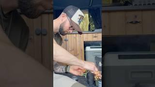 I WENT FISHING FROM MY CAMPERVAN…NEW VIDEO!!!