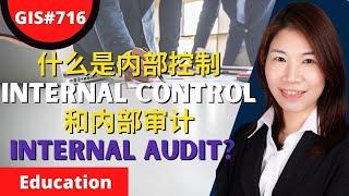 什么是内部控制Internal Control和内部审计Internal Audit？| GIS#716