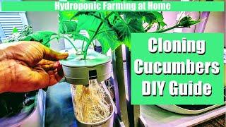 HYDROPONIC FARMING AT HOME - USING CLONED PLANTS FOR SUCCESS