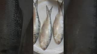 fish #food #cookinghobby #cookinginterest #viralshort #recipe