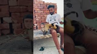 Funny monkey #funny #funnymonkey #shorts