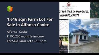 1,616 sqm Farm Lot For Sale in Alfonso Cavite