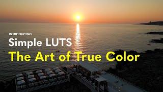 Introducing Simple LUTS   The Art of True Color